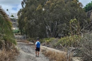 Las Palmas: Privat Botanic Garden Tour & opt. hike Extension