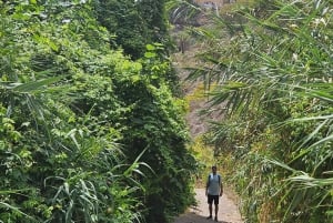 Las Palmas: Privat Botanic Garden Tour & opt. hike Extension