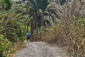 Las Palmas: Privat Botanic Garden Tour & opt. hike Extension