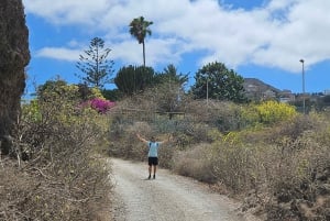 Las Palmas: Privat Botanic Garden Tour & opt. hike Extension