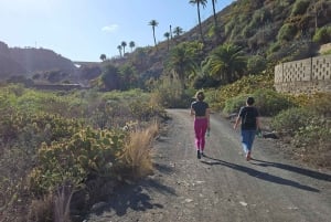 Las Palmas: Privat Botanic Garden Tour & opt. hike Extension