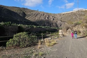 Las Palmas: Privat Botanic Garden Tour & opt. hike Extension