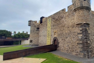 Las Palmas: Visita Privada a la Ciudad y Pueblos del Norte