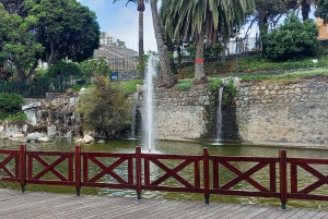 Las Palmas: Visita Privada a la Ciudad y Pueblos del Norte