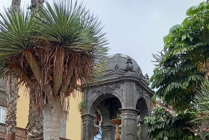 Las Palmas: Visita Privada a la Ciudad y Pueblos del Norte