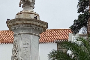 Las Palmas: Visita Privada a la Ciudad y Pueblos del Norte