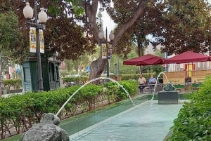 Las Palmas: Visita Privada a la Ciudad y Pueblos del Norte
