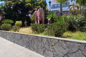 Las Palmas: Visita Privada a la Ciudad y Pueblos del Norte