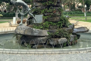 Las Palmas: Private City Highlights & Northern Villages Tour