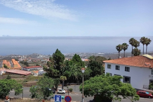 Las Palmas: Private City Highlights & Northern Villages Tour