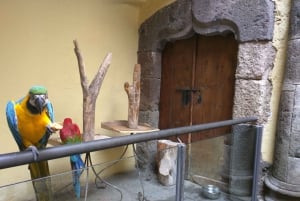 Las Palmas: tour a pie privado por el casco antiguo con tapas