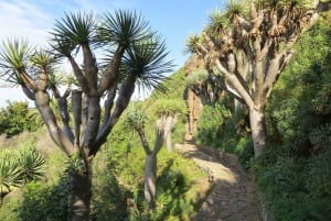 Las Palmas: tour a pie privado por el casco antiguo con tapas
