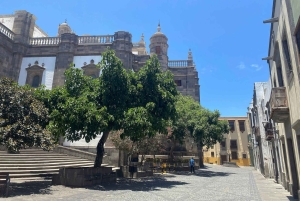 Las Palmas Sight and Shopping Full Day Tour