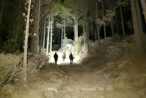 Las Palmas: Sunset & Night Sky Guided Astronomy Hiking Tour