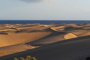 Maspalomas: 1 hora de tour turístico en Segway