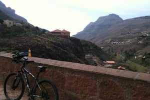 Maspalomas: 1 to 7-Day Mountain Bike Rental