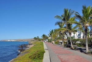 Maspalomas: Alquiler de E-Scooter Chopper de 2 plazas