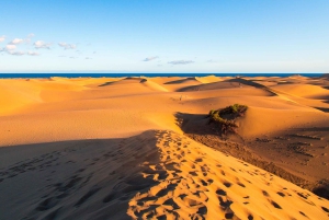 Maspalomas y Mogán: visita a las playas