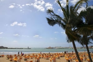 Maspalomas y Mogán: visita a las playas