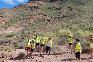 Maspalomas: Ayagaures E-Bike Mountain Tour Optional Tapas