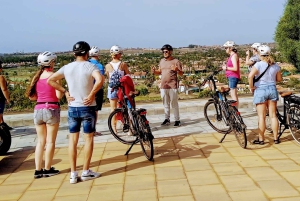 Maspalomas: Ayagaures E-Bike Mountain Tour Optional Tapas