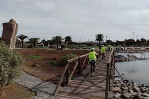 Maspalomas: Ayagaures E-Bike Mountain Tour Optional Tapas