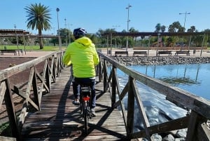 Maspalomas: Ayagaures E-Bike Mountain Tour Optional Tapas