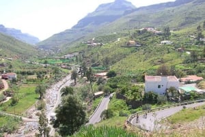 Maspalomas: Ayagaures E-Bike Mountain Tour Optional Tapas