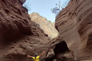 Maspalomas: Barranco de las Vacas & Caves with Sky Rebels