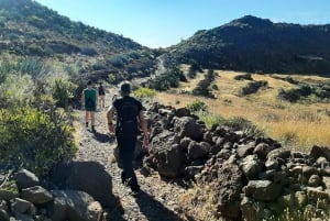 Maspalomas: Barranco de las Vacas & Caves with Sky Rebels