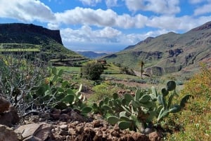 Maspalomas: Barranco de las Vacas & Caves with Sky Rebels
