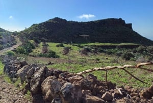 Maspalomas: Barranco de las Vacas & Caves with Sky Rebels