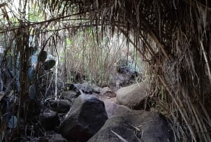 Maspalomas: Hiking in the Waterfalls with Sky Rebels