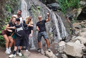 Maspalomas: Hiking in the Waterfalls with Sky Rebels