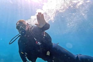 Maspalomas: Discover Scuba Diving con servicio de recogida
