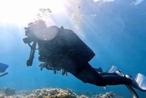 Maspalomas: Discover Scuba Diving con servicio de recogida