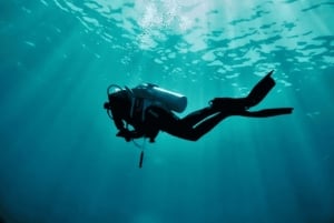 Maspalomas: Discover Scuba Diving con servicio de recogida