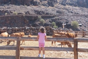 Maspalomas: E-Scooter or E-Bike Tour+Western Town Sioux City