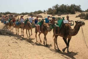 Maspalomas: Paseo en camello guiado por las Dunas de Maspalomas