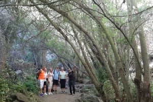 Maspalomas: Hiking in the Waterfalls with Sky Rebels