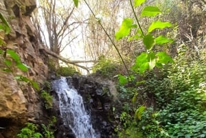 Maspalomas: Hiking in the Waterfalls with Sky Rebels