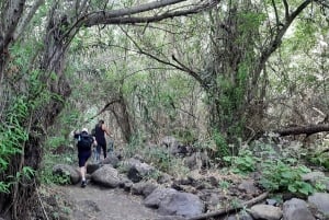 Maspalomas: Hiking in the Waterfalls with Sky Rebels