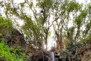 Maspalomas: Hiking in the Waterfalls with Sky Rebels