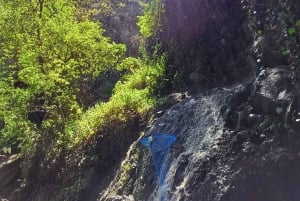 Maspalomas: Hiking in the Waterfalls with Sky Rebels