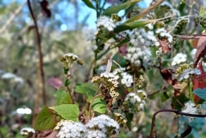 Maspalomas: Hiking in the Waterfalls with Sky Rebels