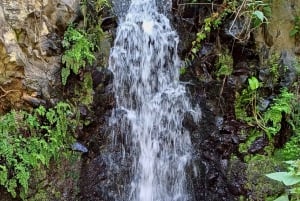 Maspalomas: Hiking in the Waterfalls with Sky Rebels