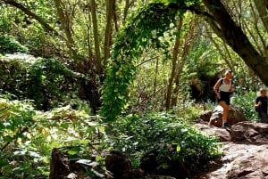 Maspalomas: Hiking in the Waterfalls with Sky Rebels