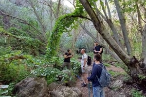 Maspalomas: Hiking in the Waterfalls with Sky Rebels