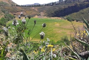 Maspalomas: Roque Nublo - senderismo por volcanes con Sky Rebels