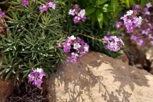 Maspalomas: Roque Nublo - senderismo por volcanes con Sky Rebels